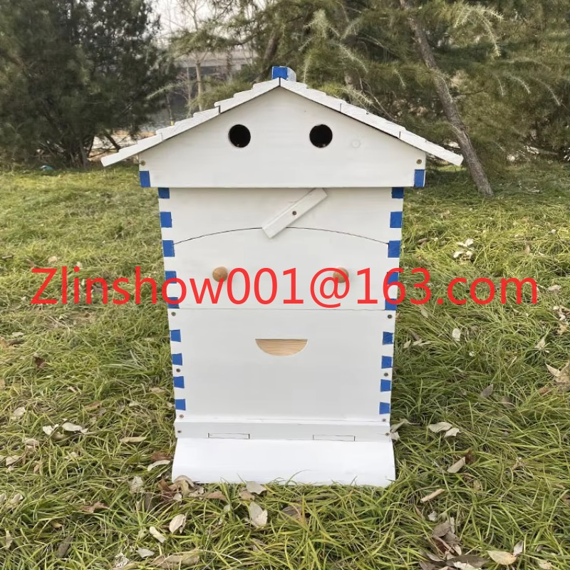 Beehive Frame Wax - Alive automatique et 7 cadres automobiles,