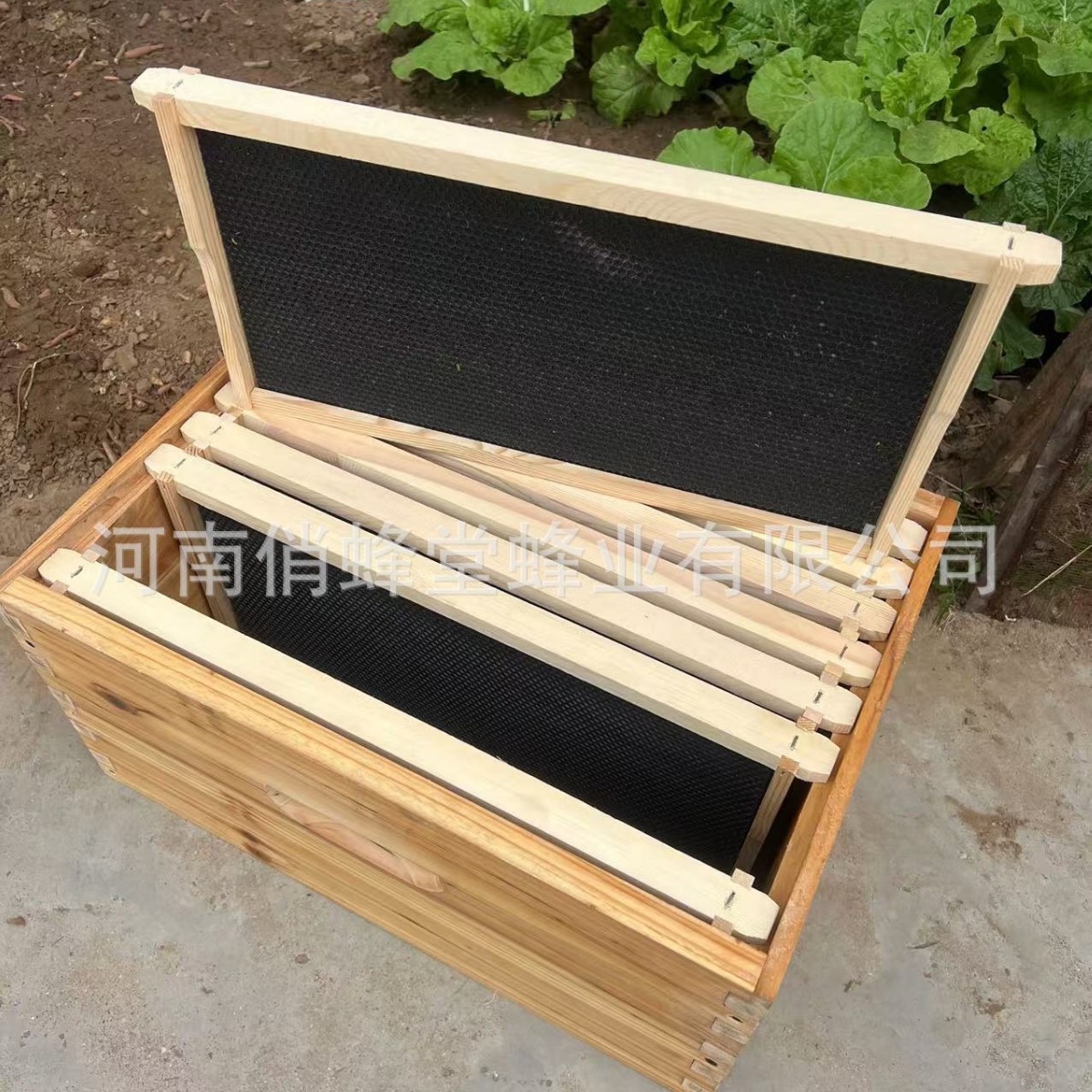 Beehive Frame Wax - Outils d'apiculture de première qualité :
