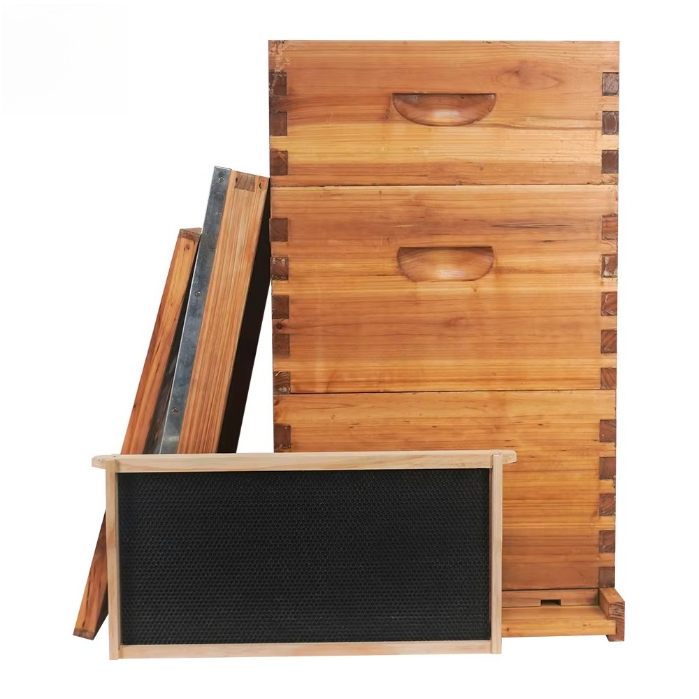 Ruche Langstroth complète à 3  - Beehive Frame Wax avis et prix