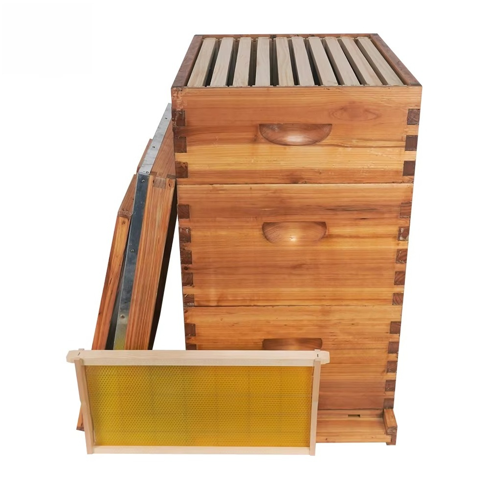 Ruche Langstroth complète à 3  - Beehive Frame Wax avis et prix