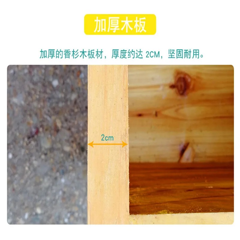 Colonne d'abeilles dans une bo - Beehive Frame Wax avis et prix