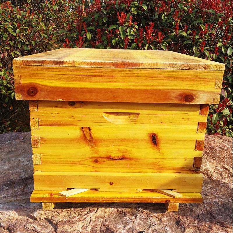 Ruche complète avec tous les o - Beehive Frame Wax avis et prix