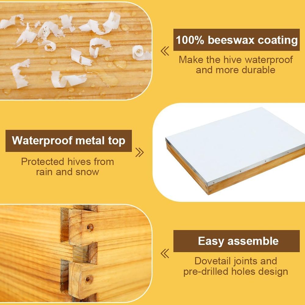 Kit de ruche 10 cadres avec fo - Beehive Frame Wax avis et prix